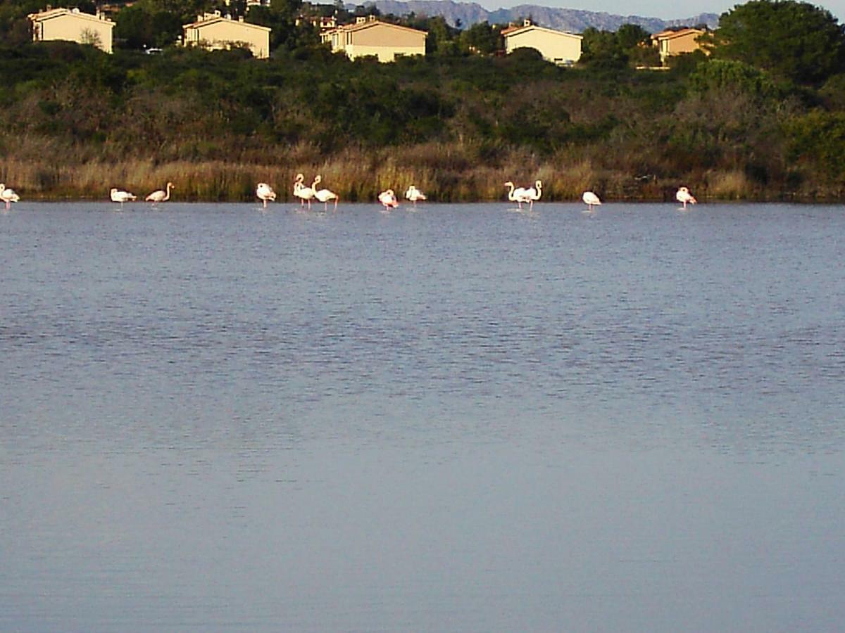 Vista Baia Blu Διαμέρισμα Budoni Εξωτερικό φωτογραφία